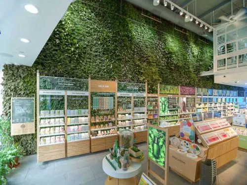 دیوار سبز  وبهترین ایده برای اجرای آنGreen wall and the best idea for its implementation
مجموعه تولیدی سیدوس ,تولید کننده گلدان پلاستیکی سیدوس ,بیش از 120نوع, اعم از گلدان استوانه ای پلاستیکی سیدوس,گلدان الماسی پلاستیکی سیدوس,گلدان مربعی پلاستیکی,گلدان مثلثی پلاستیکی,گلدان گرد پلاستیکی ,باکس مستطیلی,در اندازه های کاکتوسی تا درختچه ای