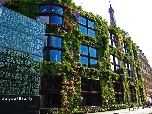 زیباترین دیوارهای سبز دنیاThe most beautiful
 green walls in the world
گلدان پلاستیکی  Plastic pot,  plastic vase مجموعه تولیدی سیدوس ,تولید کننده گلدان پلاستیکی سیدوس ,بیش از 120نوع, اعم از گلدان استوانه ای پلاستیکی سیدوس,گلدان الماسی پلاستیکی سیدوس,گلدان مربعی پلاستیکی,گلدان مثلثی پلاستیکی,گلدان گرد پلاستیکی ,باکس مستطیلی,در اندازه های کاکتوسی تا درختچه ای