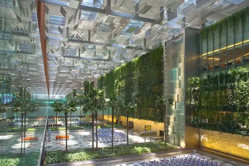 زیباترین دیوارهای سبز دنیاThe most beautiful
 green walls in the world
گلدان پلاستیکی  Plastic pot,  plastic vase مجموعه تولیدی سیدوس ,تولید کننده گلدان پلاستیکی سیدوس ,بیش از 120نوع, اعم از گلدان استوانه ای پلاستیکی سیدوس,گلدان الماسی پلاستیکی سیدوس,گلدان مربعی پلاستیکی,گلدان مثلثی پلاستیکی,گلدان گرد پلاستیکی ,باکس مستطیلی,در اندازه های کاکتوسی تا درختچه ای