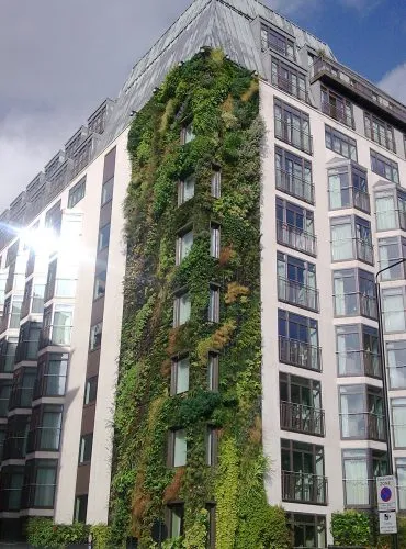 زیباترین دیوارهای سبز دنیاThe most beautiful
 green walls in the world
گلدان پلاستیکی  Plastic pot,  plastic vase مجموعه تولیدی سیدوس ,تولید کننده گلدان پلاستیکی سیدوس ,بیش از 120نوع, اعم از گلدان استوانه ای پلاستیکی سیدوس,گلدان الماسی پلاستیکی سیدوس,گلدان مربعی پلاستیکی,گلدان مثلثی پلاستیکی,گلدان گرد پلاستیکی ,باکس مستطیلی,در اندازه های کاکتوسی تا درختچه ای