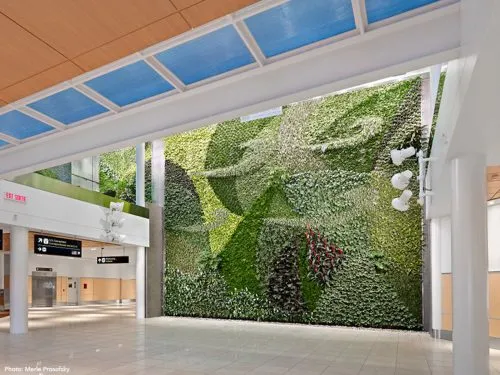 زیباترین دیوارهای سبز دنیاThe most beautiful
 green walls in the world
گلدان پلاستیکی  Plastic pot,  plastic vase مجموعه تولیدی سیدوس ,تولید کننده گلدان پلاستیکی سیدوس ,بیش از 120نوع, اعم از گلدان استوانه ای پلاستیکی سیدوس,گلدان الماسی پلاستیکی سیدوس,گلدان مربعی پلاستیکی,گلدان مثلثی پلاستیکی,گلدان گرد پلاستیکی ,باکس مستطیلی,در اندازه های کاکتوسی تا درختچه ای