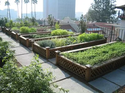 باغ بام یا گرین روف Roof garden or green roof
 مجموعه تولیدی سیدوس ,تولید کننده گلدان پلاستیکی سیدوس ,بیش از 120نوع, اعم از گلدان استوانه ای پلاستیکی سیدوس,گلدان الماسی پلاستیکی سیدوس,گلدان مربعی پلاستیکی,گلدان مثلثی پلاستیکی,گلدان گرد پلاستیکی ,باکس مستطیلی,در اندازه های کاکتوسی تا درختچه ای