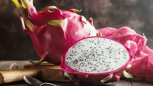 کاکتوس های میوه دارFruit-bearing cacti مجموعه تولیدی سیدوس ,تولید کننده گلدان پلاستیکی سیدوس ,بیش از 120نوع, اعم از گلدان استوانه ای پلاستیکی سیدوس,گلدان الماسی پلاستیکی سیدوس,گلدان مربعی پلاستیکی,گلدان مثلثی پلاستیکی,گلدان گرد پلاستیکی ,باکس مستطیلی,در اندازه های کاکتوسی تا درختچه ای