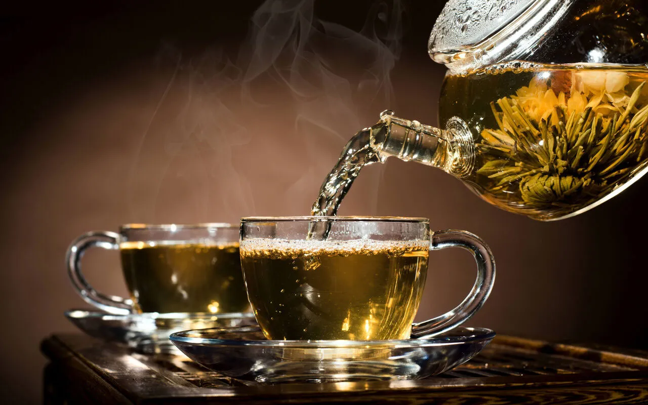 Adonis amurensis گل آدونیس وگلدان پلاستیکی سیدوس