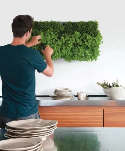 دیوار سبز  وبهترین ایده برای اجرای آنGreen wall and the best idea for its implementation
مجموعه تولیدی سیدوس ,تولید کننده گلدان پلاستیکی سیدوس ,بیش از 120نوع, اعم از گلدان استوانه ای پلاستیکی سیدوس,گلدان الماسی پلاستیکی سیدوس,گلدان مربعی پلاستیکی,گلدان مثلثی پلاستیکی,گلدان گرد پلاستیکی ,باکس مستطیلی,در اندازه های کاکتوسی تا درختچه ای