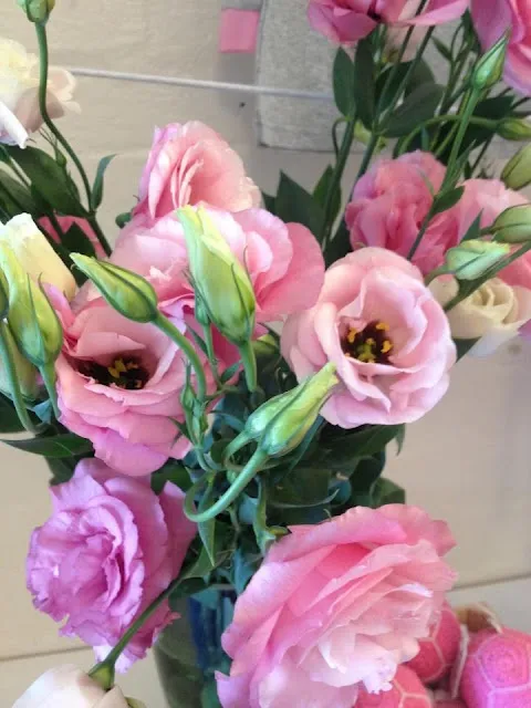گل لیسیانتوس/گل لیزیانتوس (Lisianthus)نام علمی: (Eustoma russellianum)