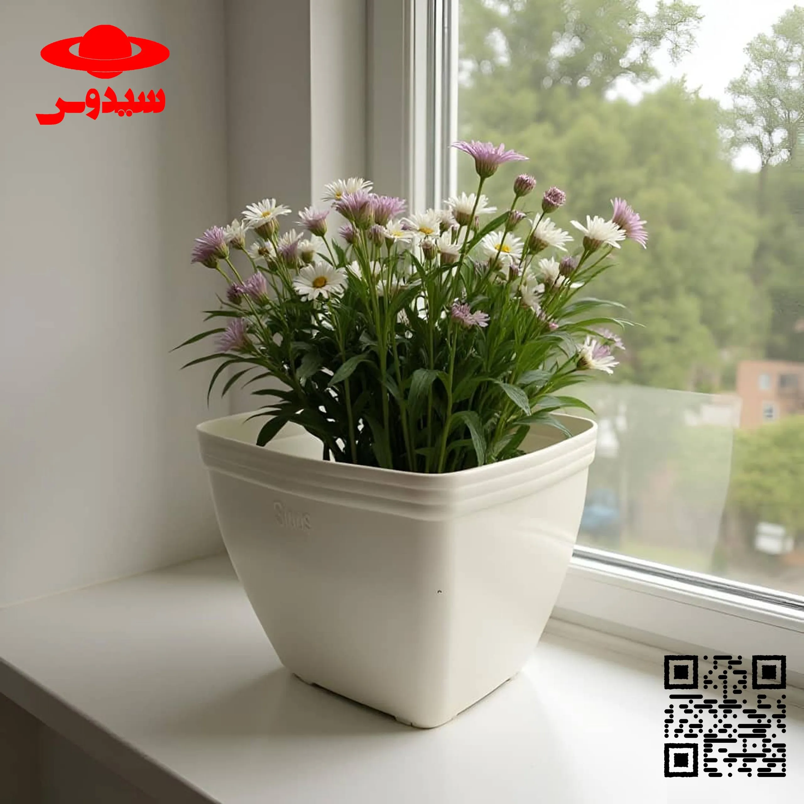 گلدان پلاستیکی مربعیSquare plastic pot
گلدان پلاستیکی  Plastic pot,  plastic vase مجموعه تولیدی سیدوس ,تولید کننده گلدان پلاستیکی سیدوس ,بیش از 120نوع, اعم از گلدان استوانه ای پلاستیکی سیدوس,گلدان الماسی پلاستیکی سیدوس,گلدان مربعی پلاستیکی,گلدان مثلثی پلاستیکی,گلدان گرد پلاستیکی ,باکس مستطیلی,در اندازه های کاکتوسی تا درختچه ای