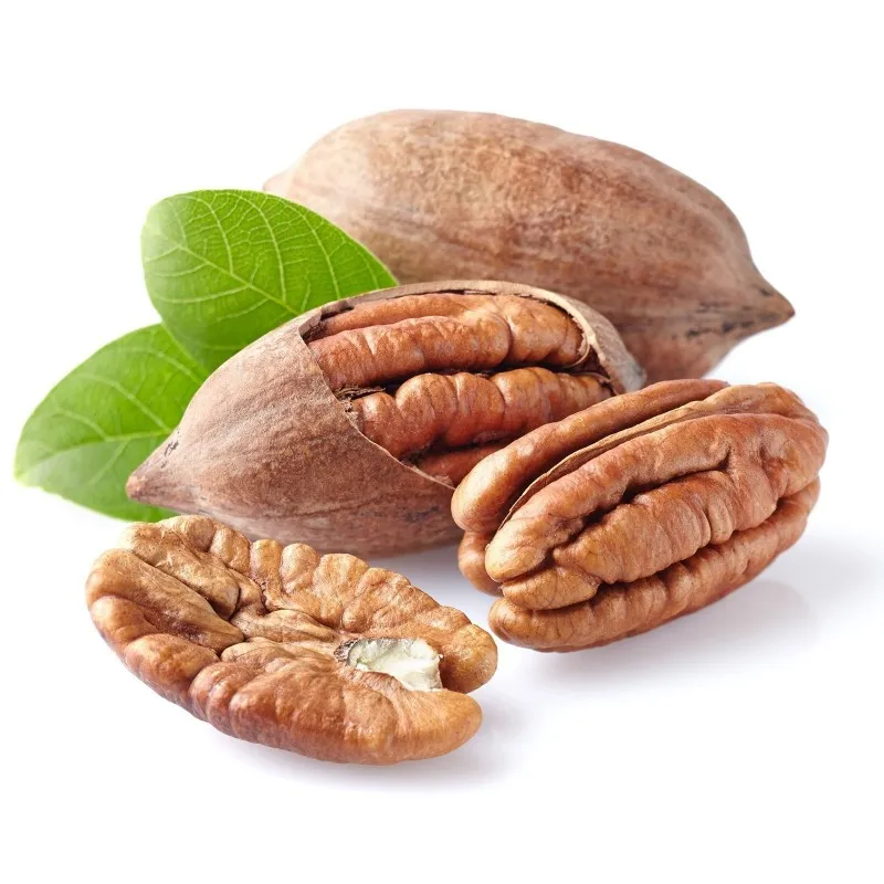 مواد غذایی سرشار از آنتی اکسیدانFoods rich in antioxidants
مجموعه تولیدی سیدوس ,تولید کننده گلدان پلاستیکی سیدوس ,بیش از 120نوع, اعم از گلدان استوانه ای پلاستیکی سیدوس,گلدان الماسی پلاستیکی سیدوس,گلدان مربعی پلاستیکی,گلدان مثلثی پلاستیکی,گلدان گرد پلاستیکی ,باکس مستطیلی,در اندازه های کاکتوسی تا درختچه ای
