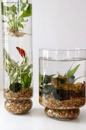 واتر گاردن ( Water Garden )  مجموعه تولیدی سیدوس ,تولید کننده گلدان پلاستیکی سیدوس ,بیش از 120نوع, اعم از گلدان استوانه ای پلاستیکی سیدوس,گلدان الماسی پلاستیکی سیدوس,گلدان مربعی پلاستیکی,گلدان مثلثی پلاستیکی,گلدان گرد پلاستیکی ,باکس مستطیلی,در اندازه های کاکتوسی تا درختچه ای