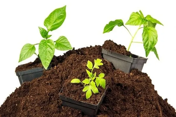 Sidoos plastic vaseگلدان پلاستیکی سیدوس