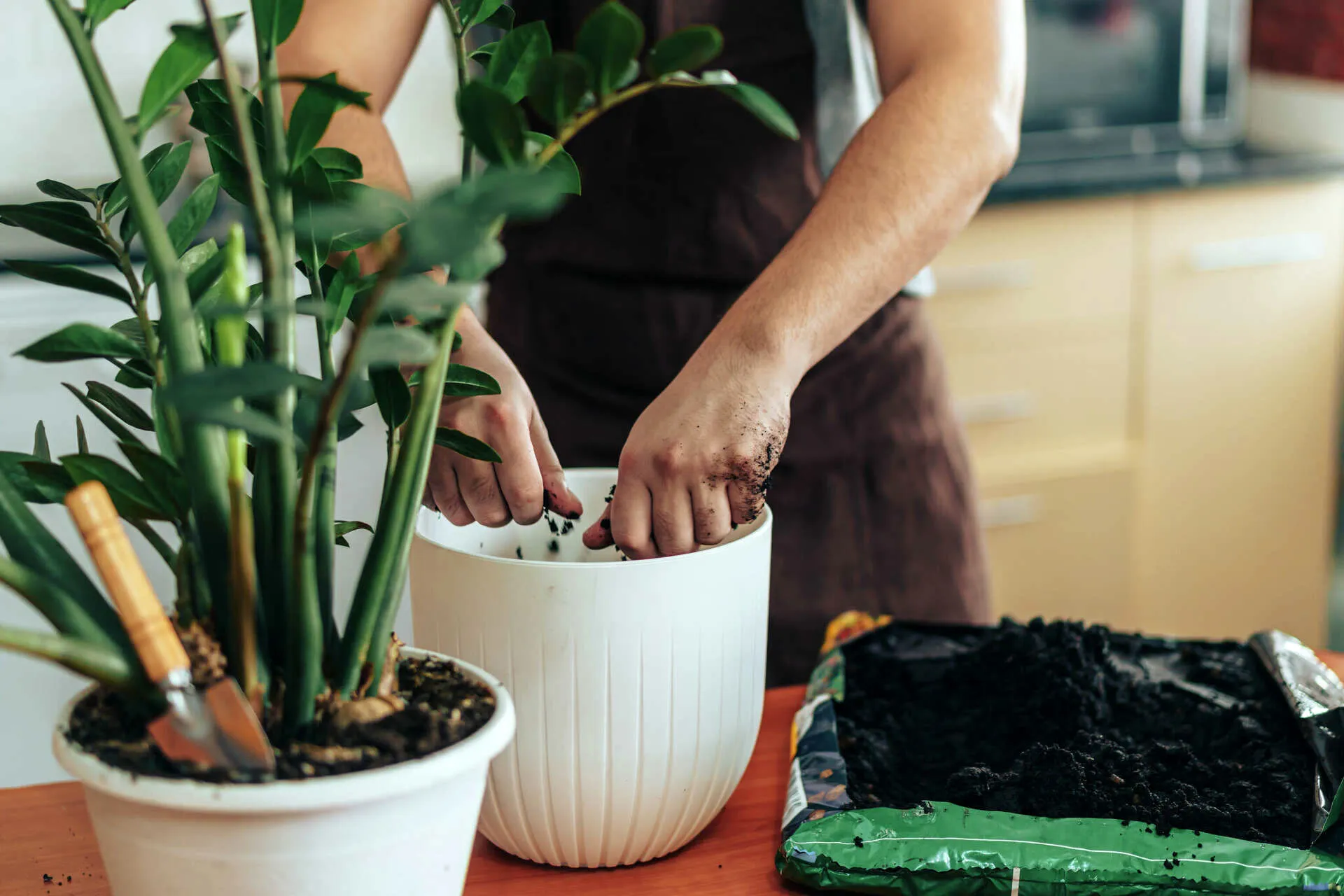 قرص کلسیم ومزایای آن برای گیاهان آپارتمانیCalcium tablets and their benefits for houseplants
مجموعه تولیدی سیدوس ,تولید کننده گلدان پلاستیکی سیدوس ,بیش از 120نوع, اعم از گلدان استوانه ای پلاستیکی سیدوس,گلدان الماسی پلاستیکی سیدوس,گلدان مربعی پلاستیکی,گلدان مثلثی پلاستیکی,گلدان گرد پلاستیکی ,باکس مستطیلی,در اندازه های کاکتوسی تا درختچه ای
