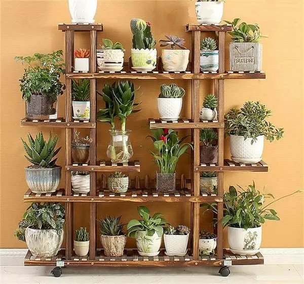 گیاهان آپارتمانی سایه دوست,Shade-loving houseplants (22 samples) مجموعه تولیدی سیدوس,تولید کننده گلدان پلاستیکی سیدوس