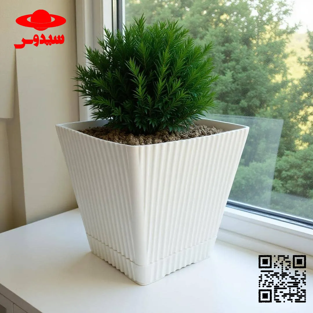 گلدان پلاستیکی مربعی از کاکتوسی تا درختچه‌ایSquare plastic pot from cactus to shrub گلدان پلاستیکی Plastic pot, plastic vase مجموعه تولیدی سیدوس ,تولید کننده گلدان پلاستیکی سیدوس ,بیش از 120نوع, اعم از گلدان استوانه ای پلاستیکی سیدوس,گلدان الماسی پلاستیکی سیدوس,گلدان مربعی پلاستیکی,گلدان مثلثی پلاستیکی,گلدان گرد پلاستیکی ,باکس مستطیلی,در اندازه های کاکتوسی تا درختچه ای
