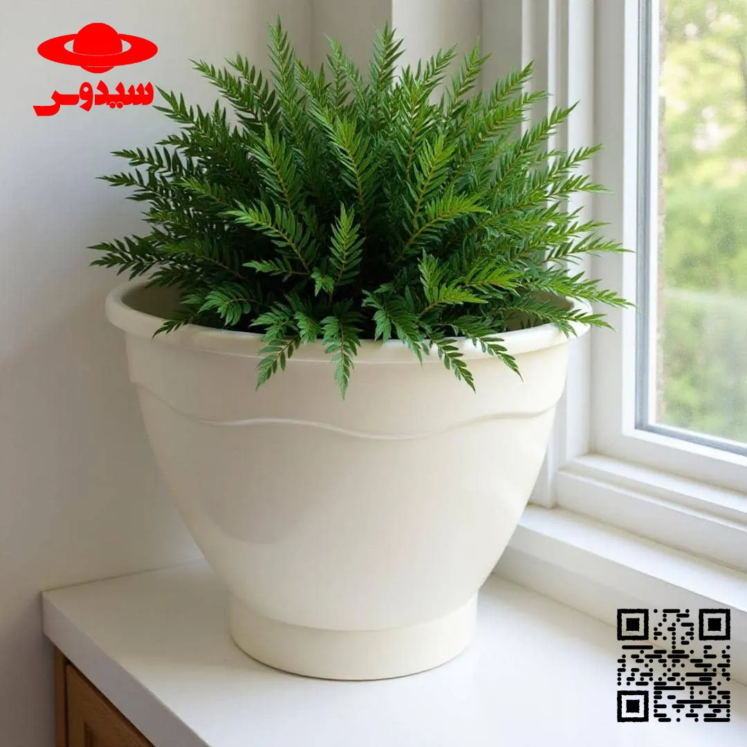 گلدان پلاستیکی  Plastic pot,  plastic vase مجموعه تولیدی سیدوس ,تولید کننده گلدان پلاستیکی سیدوس ,بیش از 120نوع, اعم از گلدان استوانه ای پلاستیکی سیدوس,گلدان الماسی پلاستیکی سیدوس,گلدان مربعی پلاستیکی,گلدان مثلثی پلاستیکی,گلدان گرد پلاستیکی ,باکس مستطیلی,در اندازه های کاکتوسی تا درختچه ای