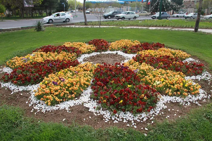 فصل پائیز چه بکاریم؟گیاهان مناسب پائیز کدامند؟What should we plant in autumn? What are the best plants for autumn? مجموعه تولیدی سیدوس ,تولید کننده گلدان پلاستیکی سیدوس ,بیش از 120نوع, اعم از گلدان استوانه ای پلاستیکی سیدوس,گلدان الماسی پلاستیکی سیدوس,گلدان مربعی پلاستیکی,گلدان مثلثی پلاستیکی,گلدان گرد پلاستیکی ,باکس مستطیلی,در اندازه های کاکتوسی تا درختچه ای