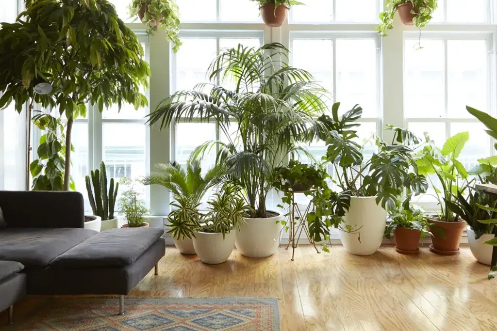  راه های مبارزه با بیماری گیاهان آپارتمانیWays to combat houseplant disease
گلدان پلاستیکی  Plastic pot,  plastic vase مجموعه تولیدی سیدوس ,تولید کننده گلدان پلاستیکی سیدوس ,بیش از 120نوع, اعم از گلدان استوانه ای پلاستیکی سیدوس,گلدان الماسی پلاستیکی سیدوس,گلدان مربعی پلاستیکی,گلدان مثلثی پلاستیکی,گلدان گرد پلاستیکی ,باکس مستطیلی,در اندازه های کاکتوسی تا درختچه ای