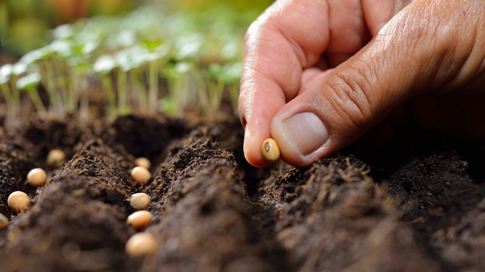 تکثیر گیاهان از بذر تا قلمه زنیPlant propagation from seed to cuttings
مجموعه تولیدی سیدوس ,تولید کننده گلدان پلاستیکی سیدوس ,بیش از 120نوع, اعم از گلدان استوانه ای پلاستیکی سیدوس,گلدان الماسی پلاستیکی سیدوس,گلدان مربعی پلاستیکی,گلدان مثلثی پلاستیکی,گلدان گرد پلاستیکی ,باکس مستطیلی,در اندازه های کاکتوسی تا درختچه ای