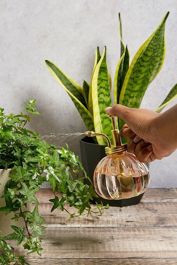 سیر و معجزه اش برای گیاهان آپارتمانیGarlic and its miracle for houseplants
مجموعه تولیدی سیدوس ,تولید کننده گلدان پلاستیکی سیدوس ,بیش از 120نوع, اعم از گلدان استوانه ای پلاستیکی سیدوس,گلدان الماسی پلاستیکی سیدوس,گلدان مربعی پلاستیکی,گلدان مثلثی پلاستیکی,گلدان گرد پلاستیکی ,باکس مستطیلی,در اندازه های کاکتوسی تا درختچه ای