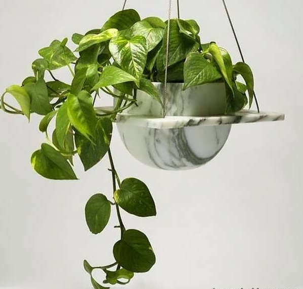 گیاهان آویزی,منزل شما را سبزتر می‌کنندHanging plants make your home greener
مجموعه تولیدی سیدوس تولید کننده گلدان پلاستیکی اعم از گلدان استوانه ای وگلدان الماسی,گلدان باکس ,و... با بیش از 120مدل گلدان پلاستیکی سیدوس
تدوین:مینو غفوری ساداتیه
آدرس اینستاگرام:gooldono.stand.sidoos@
تلفن:09308743868