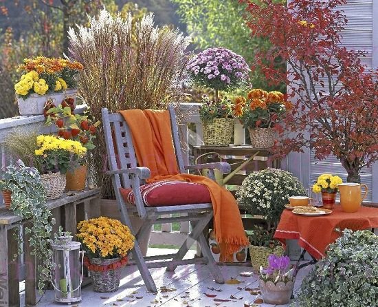 گل و گیاهان پاییزی برای علاقه مندان پاییز Autumn flowers and plants for autumn lovers مجموعه تولیدی سیدوس ,تولید کننده گلدان پلاستیکی سیدوس ,بیش از 120نوع, اعم از گلدان استوانه ای پلاستیکی سیدوس,گلدان الماسی پلاستیکی سیدوس,گلدان مربعی پلاستیکی,گلدان مثلثی پلاستیکی,گلدان گرد پلاستیکی ,باکس مستطیلی,در اندازه های کاکتوسی تا درختچه ای
