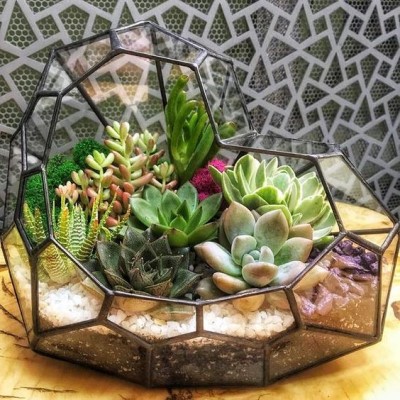 تراریوم (16ایده خلاقانه )Terrarium (16 creative ideas) مجموعه تولیدی سیدوس ,تولید کننده گلدان پلاستیکی سیدوس ,بیش از 120نوع, اعم از گلدان استوانه ای پلاستیکی سیدوس,گلدان الماسی پلاستیکی سیدوس,گلدان مربعی پلاستیکی,گلدان مثلثی پلاستیکی,گلدان گرد پلاستیکی ,باکس مستطیلی,در اندازه های کاکتوسی تا درختچه ای تدوین:مینو غفوری ساداتیه آدرس اینستاگرام:gooldono.stand.sidoos@ تلفن:09308743868