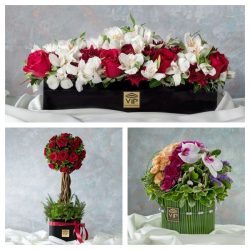 باکس گل طبیعی و5نکته کلیدی در نگهداری آن Natural flower box and 5 key points in its maintenance مجموعه تولیدی سیدوس تولید کننده بیش از۱۲۰نوع گلدان پلاستیکی سیدوس