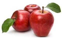 سیب وخواص چشمگیر آن برای سلامتی Apple and its impressive health properties مجموعه تولیدی سیدوس ,تولید کننده گلدان پلاستیکی سیدوس ,بیش از 120نوع, اعم از گلدان استوانه ای پلاستیکی سیدوس,گلدان الماسی پلاستیکی سیدوس,گلدان مربعی پلاستیکی,گلدان مثلثی پلاستیکی,گلدان گرد پلاستیکی ,باکس مستطیلی,در اندازه های کاکتوسی تا درختچه ای