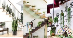 گل و گیاهان مناسب برای تزئین پاگرد راه پله Flowers and plants suitable for decorating the stairwell مجموعه تولیدی سیدوس ,تولید کننده گلدان پلاستیکی سیدوس ,بیش از 120نوع, اعم از گلدان استوانه ای پلاستیکی سیدوس,گلدان الماسی پلاستیکی سیدوس,گلدان مربعی پلاستیکی,گلدان مثلثی پلاستیکی,گلدان گرد پلاستیکی ,باکس مستطیلی,در اندازه های کاکتوسی تا درختچه ای