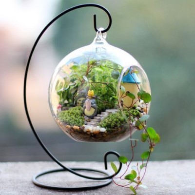 تراریوم (16ایده خلاقانه ) Terrarium (16 creative ideas) مجموعه تولیدی سیدوس ,تولید کننده گلدان پلاستیکی سیدوس ,بیش از 120نوع, اعم از گلدان استوانه ای پلاستیکی سیدوس,گلدان الماسی پلاستیکی سیدوس,گلدان مربعی پلاستیکی,گلدان مثلثی پلاستیکی,گلدان گرد پلاستیکی ,باکس مستطیلی,در اندازه های کاکتوسی تا درختچه ای