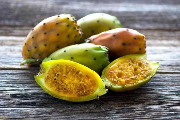 کاکتوس و میوه آن وموثرترین خواص آن برای سلامتی ولاغری Cactus and its fruit and its most effective properties for health and weight loss مجموعه تولیدی سیدوس ,تولید کننده گلدان پلاستیکی سیدوس