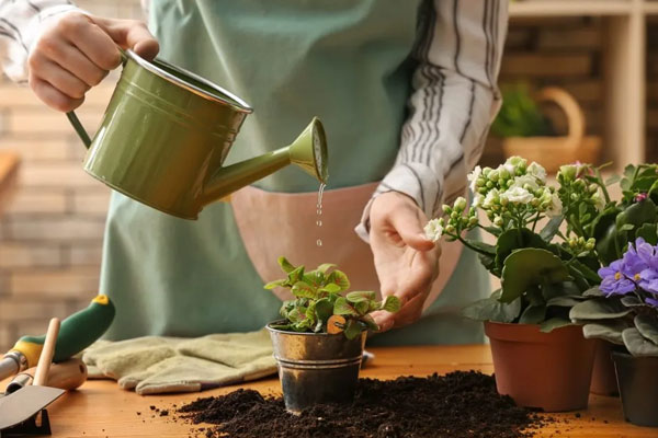 آبیاری گیاهان در زمان مناسبWatering plants at the right time گلدان پلاستیکی Plastic pot, plastic vase مجموعه تولیدی سیدوس ,تولید کننده گلدان پلاستیکی سیدوس ,بیش از 120نوع, اعم از گلدان استوانه ای پلاستیکی سیدوس,گلدان الماسی پلاستیکی سیدوس,گلدان مربعی پلاستیکی,گلدان مثلثی پلاستیکی,گلدان گرد پلاستیکی ,باکس مستطیلی,در اندازه های کاکتوسی تا درختچه ای