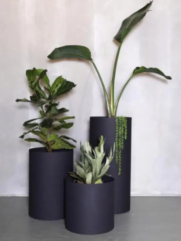 گلدان پلاستیکی بهترین انتخاب برای فضای سبز شماستThe plastic pot is the best choice for your green space
مجموعه تولیدی سیدوس ,تولید کننده گلدان پلاستیکی سیدوس ,بیش از 120نوع, اعم از گلدان استوانه ای پلاستیکی سیدوس,گلدان الماسی پلاستیکی سیدوس,گلدان مربعی پلاستیکی,گلدان مثلثی پلاستیکی,گلدان گرد پلاستیکی ,باکس مستطیلی,در اندازه های کاکتوسی تا درختچه ای