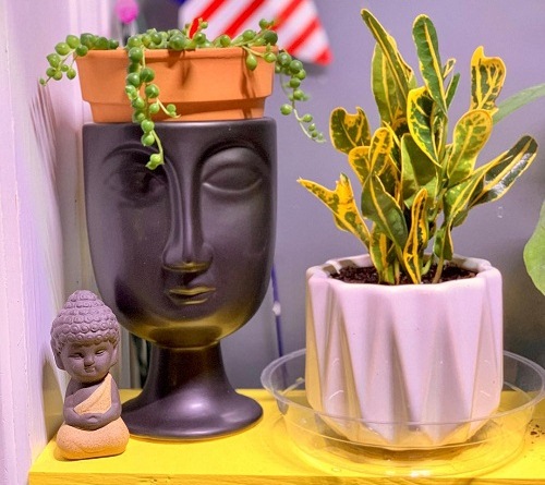 گیاه آپارتمانی کروتن پرتقالیOrange Croton Houseplant
مجموعه تولیدی سیدوس ,تولید کننده گلدان پلاستیکی سیدوس ,بیش از 120نوع, اعم از گلدان استوانه ای پلاستیکی سیدوس,گلدان الماسی پلاستیکی سیدوس,گلدان مربعی پلاستیکی,گلدان مثلثی پلاستیکی,گلدان گرد پلاستیکی ,باکس مستطیلی,در اندازه های کاکتوسی تا درختچه ای