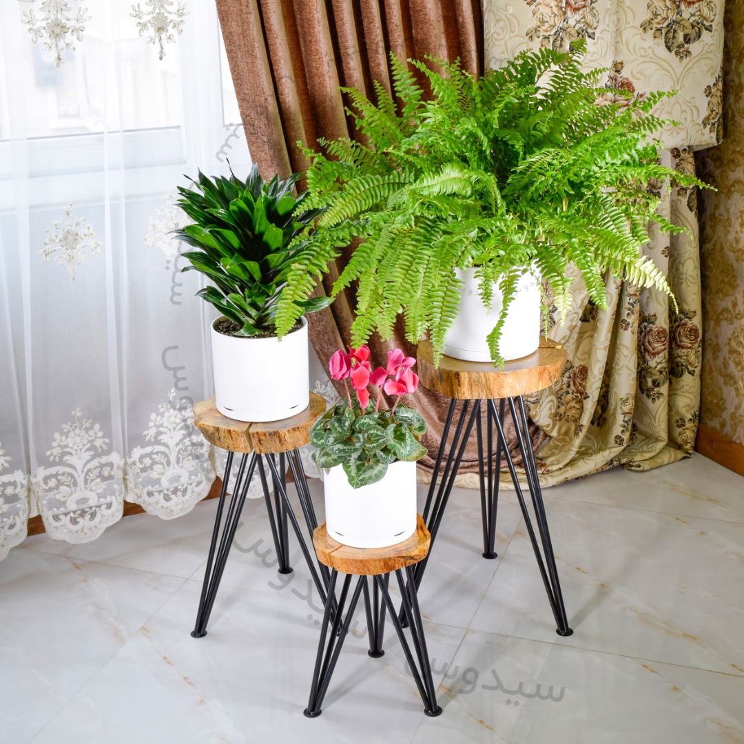دکوراسیون با چیدمان گلدان گیاهان آپارتمانیDecoration with arrangement of potted houseplants
گلدان پلاستیکی  Plastic pot,  plastic vase مجموعه تولیدی سیدوس ,تولید کننده گلدان پلاستیکی سیدوس ,بیش از 120نوع, اعم از گلدان استوانه ای پلاستیکی سیدوس,گلدان الماسی پلاستیکی سیدوس,گلدان مربعی پلاستیکی,گلدان مثلثی پلاستیکی,گلدان گرد پلاستیکی ,باکس مستطیلی,در اندازه های کاکتوسی تا درختچه ای