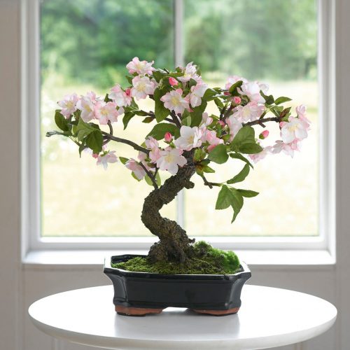 بونسای چیست؟تاریخچه بونسای وانواع آن What is bonsai? History of bonsai and its types مجموعه تولیدی سیدوس ,تولید کننده گلدان پلاستیکی سیدوس ,بیش از 120نوع, اعم از گلدان استوانه ای پلاستیکی سیدوس,گلدان الماسی پلاستیکی سیدوس,گلدان مربعی پلاستیکی,گلدان مثلثی پلاستیکی,گلدان گرد پلاستیکی ,باکس مستطیلی,در اندازه های کاکتوسی تا درختچه ای
