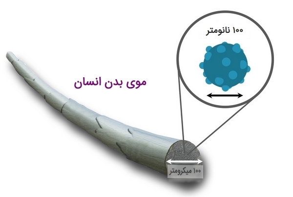 نانو چیست وچه کاربردی دارد؟What is nano and what is its application? مجموعه تولیدی سیدوس ,تولید کننده گلدان پلاستیکی سیدوس ,بیش از 120نوع, اعم از گلدان استوانه ای پلاستیکی سیدوس,گلدان الماسی پلاستیکی سیدوس,گلدان مربعی پلاستیکی,گلدان مثلثی پلاستیکی,گلدان گرد پلاستیکی ,باکس مستطیلی,در اندازه های کاکتوسی تا درختچه ای