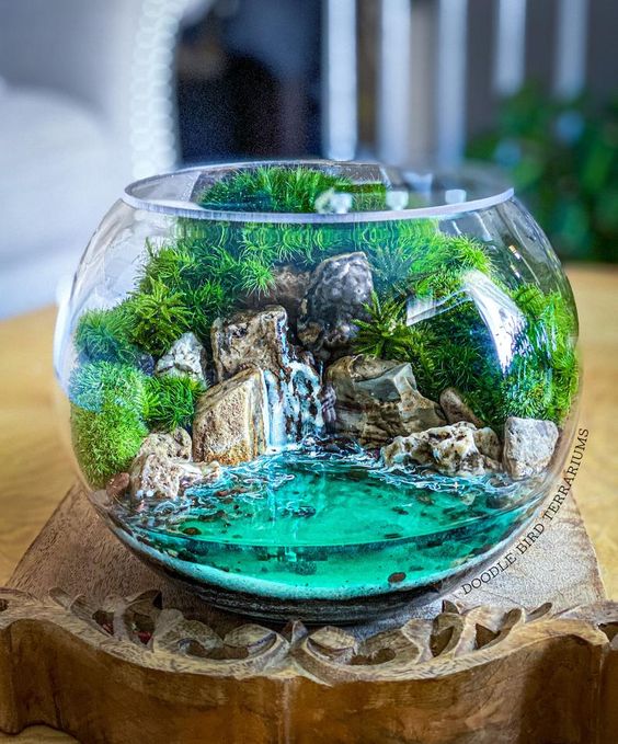 تراریوم (16ایده خلاقانه ) Terrarium (16 creative ideas) مجموعه تولیدی سیدوس ,تولید کننده گلدان پلاستیکی سیدوس ,بیش از 120نوع, اعم از گلدان استوانه ای پلاستیکی سیدوس,گلدان الماسی پلاستیکی سیدوس,گلدان مربعی پلاستیکی,گلدان مثلثی پلاستیکی,گلدان گرد پلاستیکی ,باکس مستطیلی,در اندازه های کاکتوسی تا درختچه ای