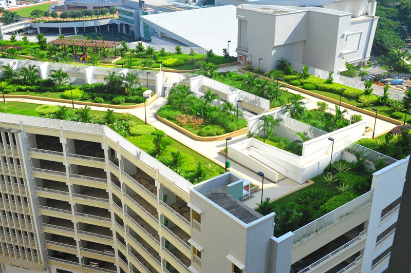 بام سبز (روف گاردن)Green roof (roof garden)
مجموعه تولیدی سیدوس ,تولید کننده گلدان پلاستیکی سیدوس ,بیش از 120نوع, اعم از گلدان استوانه ای پلاستیکی سیدوس,گلدان الماسی پلاستیکی سیدوس,گلدان مربعی پلاستیکی,گلدان مثلثی پلاستیکی,گلدان گرد پلاستیکی ,باکس مستطیلی,در اندازه های کاکتوسی تا درختچه ای