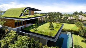 بام سبز (green roof ) و باغ بام (roof garden)وتفاوتهای آنها(3مورد)
