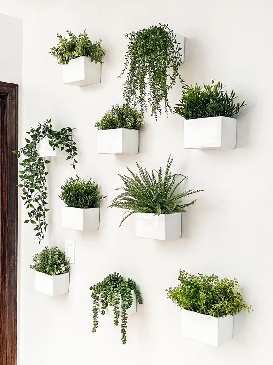 گیاهان آپارتمانی وچیدمان آن در دکوراسیون منزل Houseplants and their arrangement in home decoration مجموعه تولیدی سیدوس, تولید کننده گلدان پلاستیکی سیدوس 