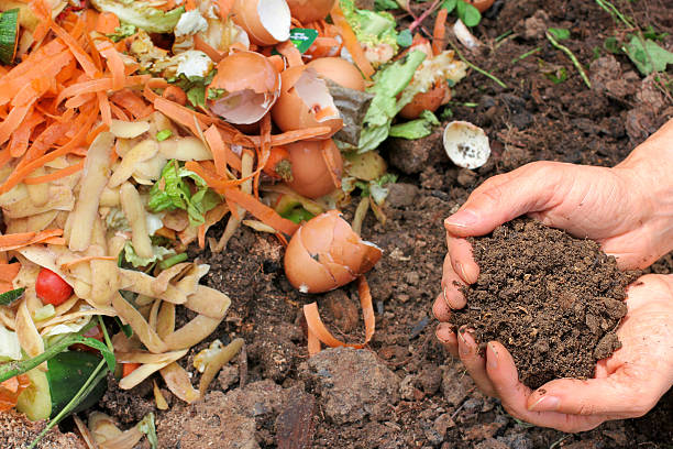 پسماند های خانگی در تولید کودHousehold waste in fertilizer production
مجموعه تولیدی سیدوس ,تولید کننده گلدان پلاستیکی سیدوس ,بیش از 120نوع, اعم از گلدان استوانه ای پلاستیکی سیدوس,گلدان الماسی پلاستیکی سیدوس,گلدان مربعی پلاستیکی,گلدان مثلثی پلاستیکی,گلدان گرد پلاستیکی ,باکس مستطیلی,در اندازه های کاکتوسی تا درختچه ای