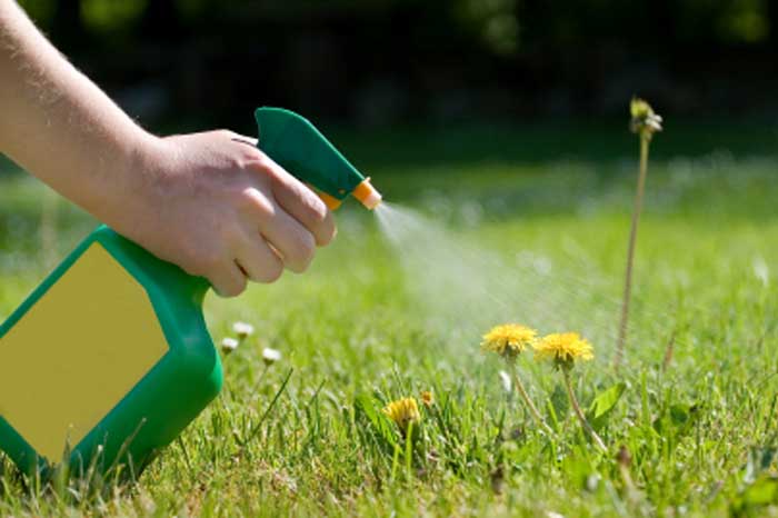 جوش شیرین واستفاده از آن در باغبانی (20مورد)Baking soda and its uses in gardening (20 cases)
مجموعه تولیدی سیدوس ,تولید کننده گلدان پلاستیکی سیدوس ,بیش از 120نوع, اعم از گلدان استوانه ای پلاستیکی سیدوس,گلدان الماسی پلاستیکی سیدوس,گلدان مربعی پلاستیکی,گلدان مثلثی پلاستیکی,گلدان گرد پلاستیکی ,باکس مستطیلی,در اندازه های کاکتوسی تا درختچه ای