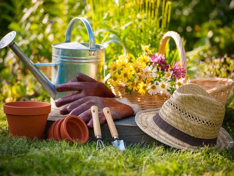 ساخت لوازم باغبانی ارزان با ایده های خلاقانه Making cheap gardening tools with creative ideas مجموعه تولیدی سیدوس ,تولید کننده گلدان پلاستیکی سیدوس ,بیش از 120نوع, اعم از گلدان استوانه ای پلاستیکی سیدوس,گلدان الماسی پلاستیکی سیدوس,گلدان مربعی پلاستیکی,گلدان مثلثی پلاستیکی,گلدان گرد پلاستیکی ,باکس مستطیلی,در اندازه های کاکتوسی تا درختچه ای