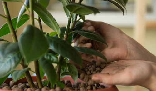 آبیاری گیاهان آپارتمانی در ایام سفرWatering houseplants while traveling
مجموعه تولیدی سیدوس ,تولید کننده گلدان پلاستیکی سیدوس ,بیش از 120نوع, اعم از گلدان استوانه ای پلاستیکی سیدوس,گلدان الماسی پلاستیکی سیدوس,گلدان مربعی پلاستیکی,گلدان مثلثی پلاستیکی,گلدان گرد پلاستیکی ,باکس مستطیلی,در اندازه های کاکتوسی تا درختچه ای