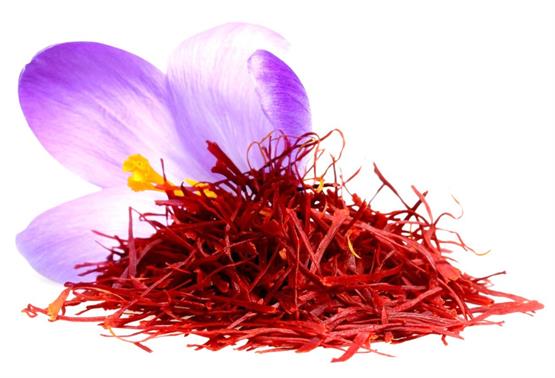 گل زعفران,زعفران سرگل, crocus-sativus, Crocus angustifolius مجموعه تولیدی سیدوس, تولید کننده گلدان پلاستیکی سیدوس 