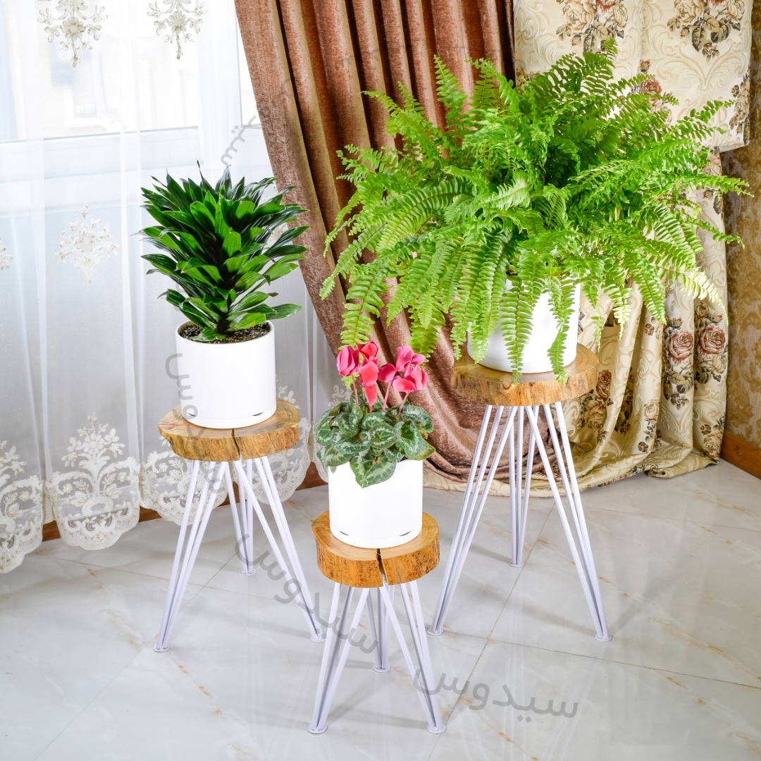 Plastic potگلدان پلاستیکی سیدوس