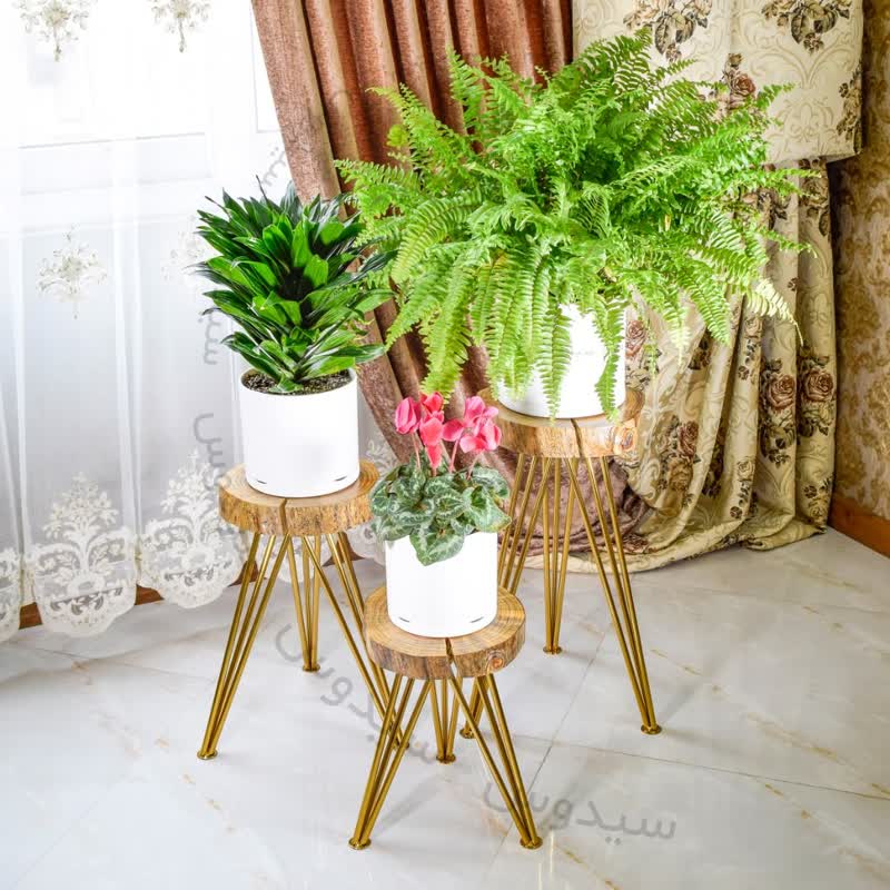 گیاهان آپارتمانی وچیدمان آن در دکوراسیون منزل Houseplants and their arrangement in home decoration مجموعه تولیدی سیدوس, تولید کننده گلدان پلاستیکی سیدوس