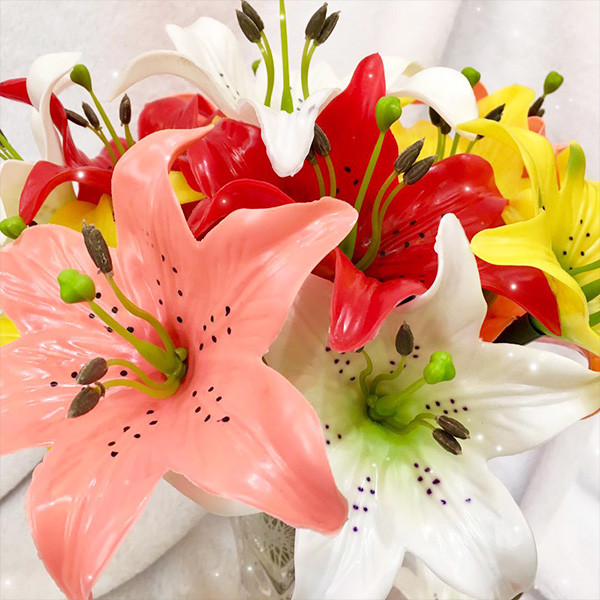 گیاه لیلیوم اورینتال در گلدان پلاستیکی سیدوسOriental Lilium plant in a plastic SidOOs pot
گلدان پلاستیکی  Plastic pot,  plastic vase مجموعه تولیدی سیدوس ,تولید کننده گلدان پلاستیکی سیدوس ,بیش از 120نوع, اعم از گلدان استوانه ای پلاستیکی سیدوس,گلدان الماسی پلاستیکی سیدوس,گلدان مربعی پلاستیکی,گلدان مثلثی پلاستیکی,گلدان گرد پلاستیکی ,باکس مستطیلی,در اندازه های کاکتوسی تا درختچه ای