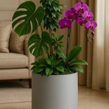گلدان پلاستیکی استوانه ای درختچه ای سایز 6(اندازه 30*30)