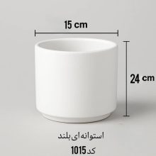 گلدان استوانه ای بلند Tall cylindrical vase مجموعه تولیدی سیدوس ,تولید کننده گلدان پلاستیکی سیدوس ,بیش از 120نوع, اعم از گلدان استوانه ای پلاستیکی سیدوس,گلدان الماسی پلاستیکی سیدوس,گلدان مربعی پلاستیکی,گلدان مثلثی پلاستیکی,گلدان گرد پلاستیکی ,باکس مستطیلی,در اندازه های کاکتوسی تا درختچه ای